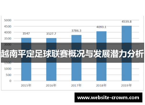 越南平定足球联赛概况与发展潜力分析