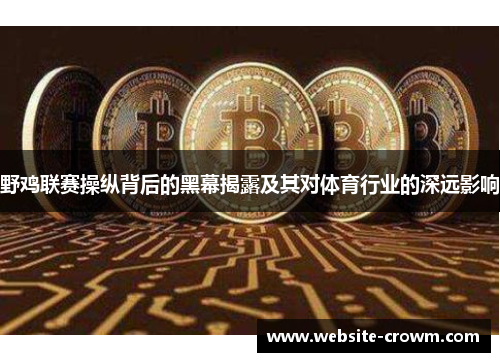 野鸡联赛操纵背后的黑幕揭露及其对体育行业的深远影响
